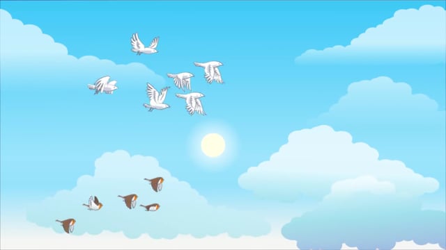 flying birds animation