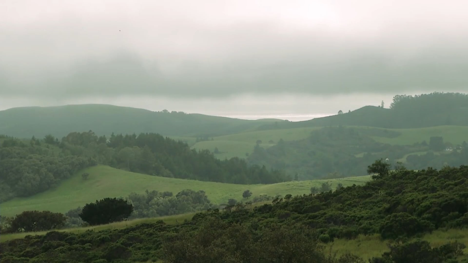 The Women Ballet Choreographers Residency at Djerassi