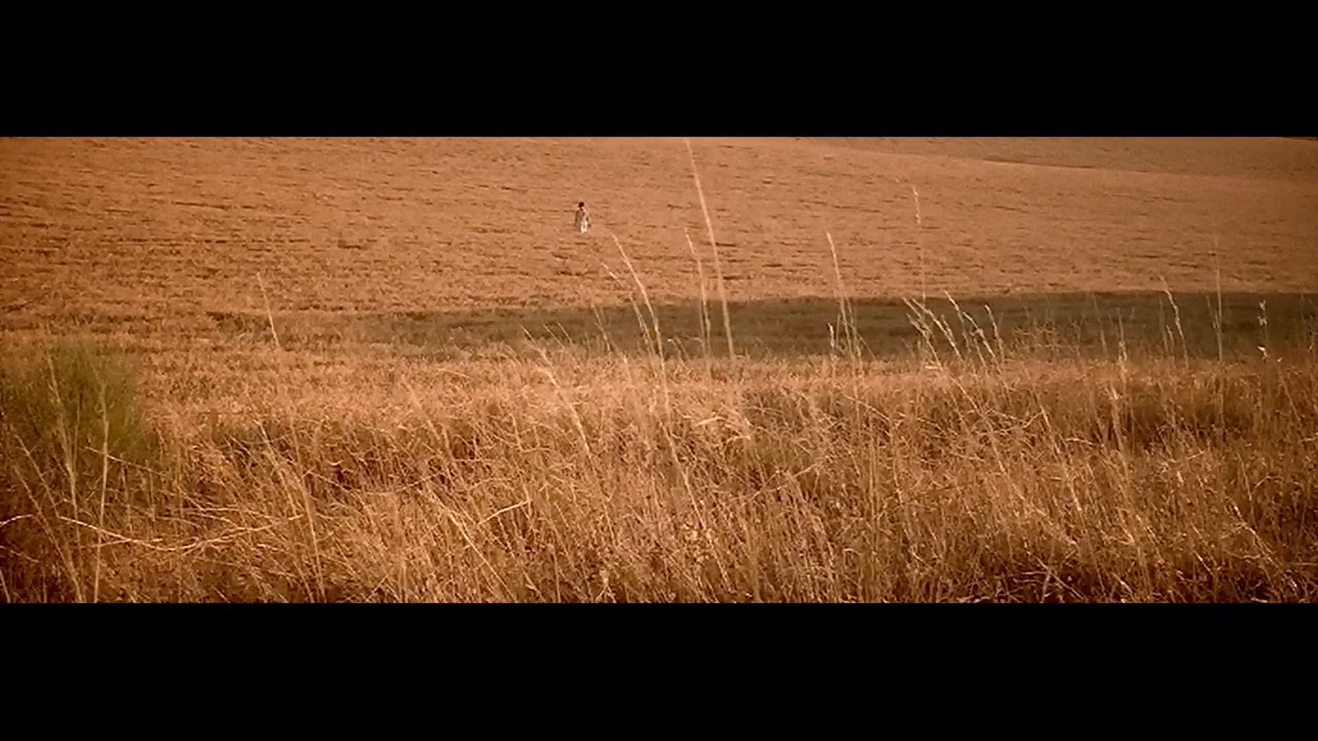 ISAAC_200 PASOS -  TEASER