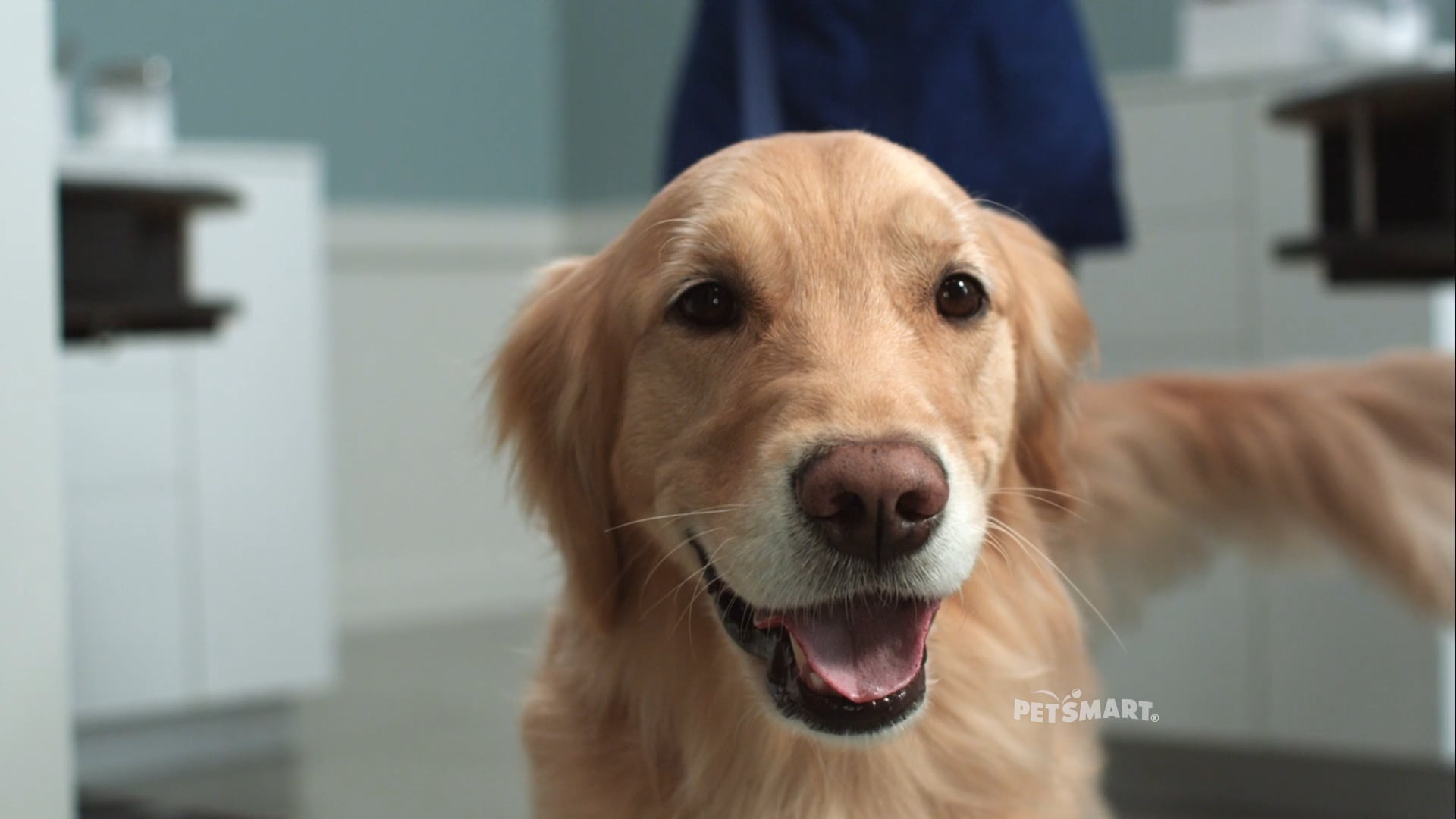 PetSmart Worth it. on Vimeo