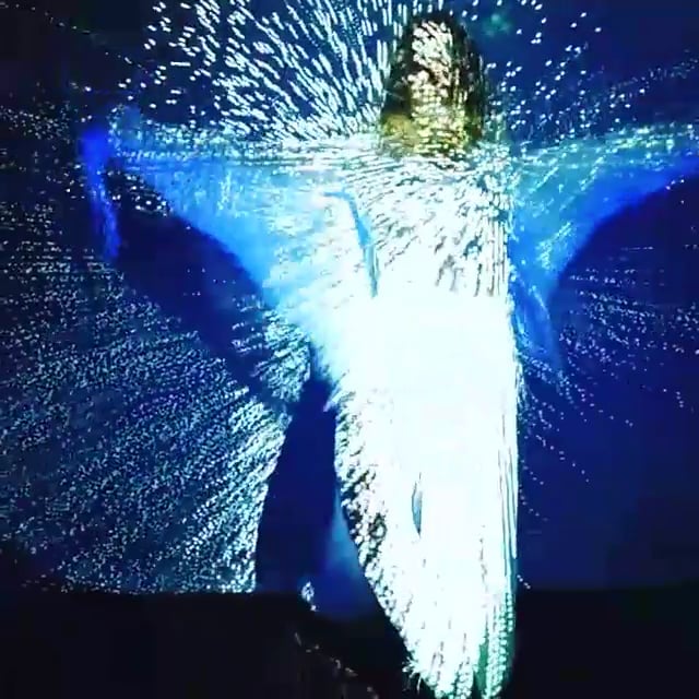 Dance Projection Sample on Vimeo