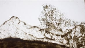 Sand animation loop