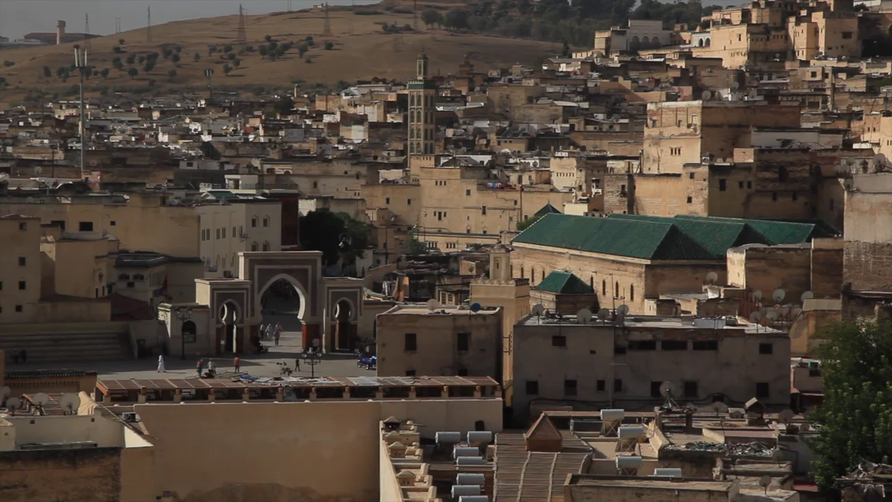 Art of Islamic Pattern Fez study tour 2016