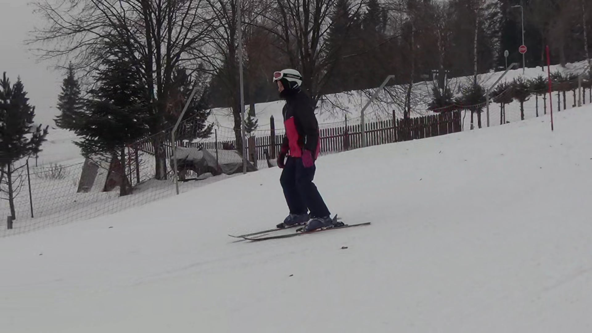 Anna_Simkova_2 on Vimeo