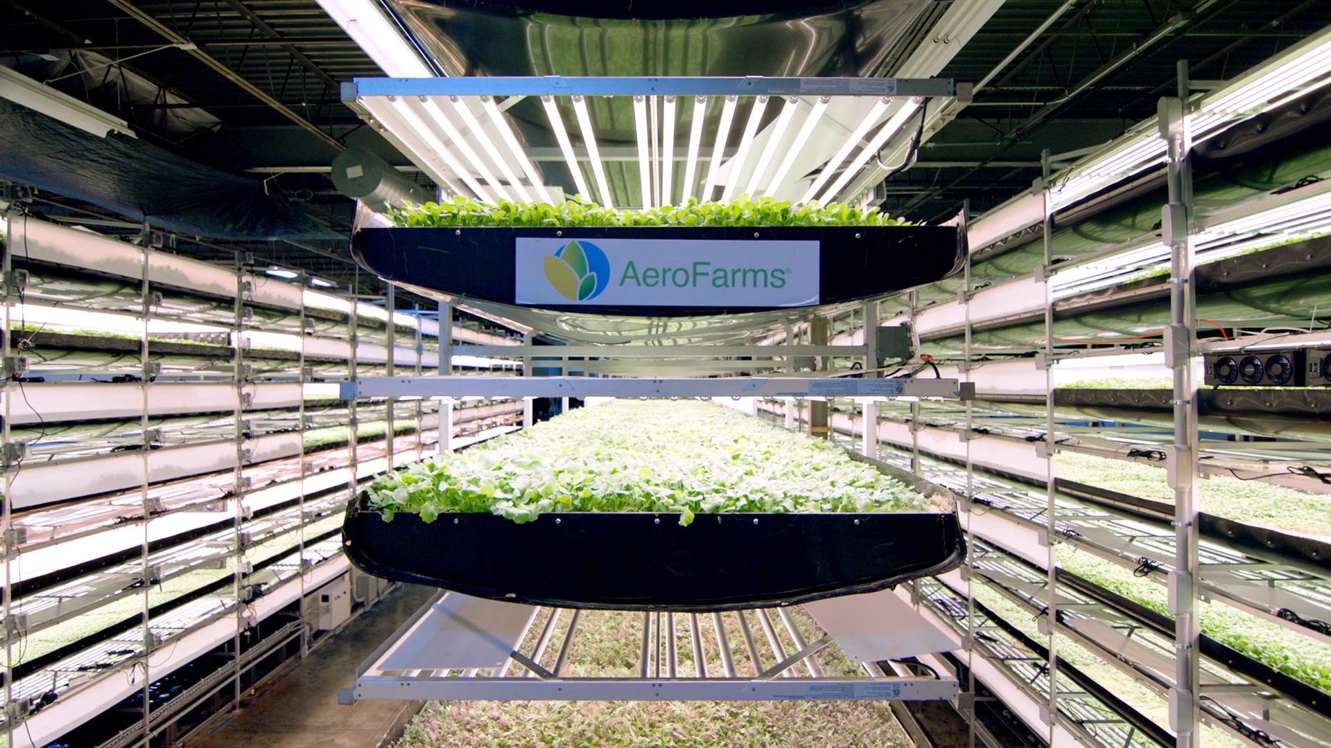 "SCIENCE NONFICTION" Episode 3: Vertical Farms