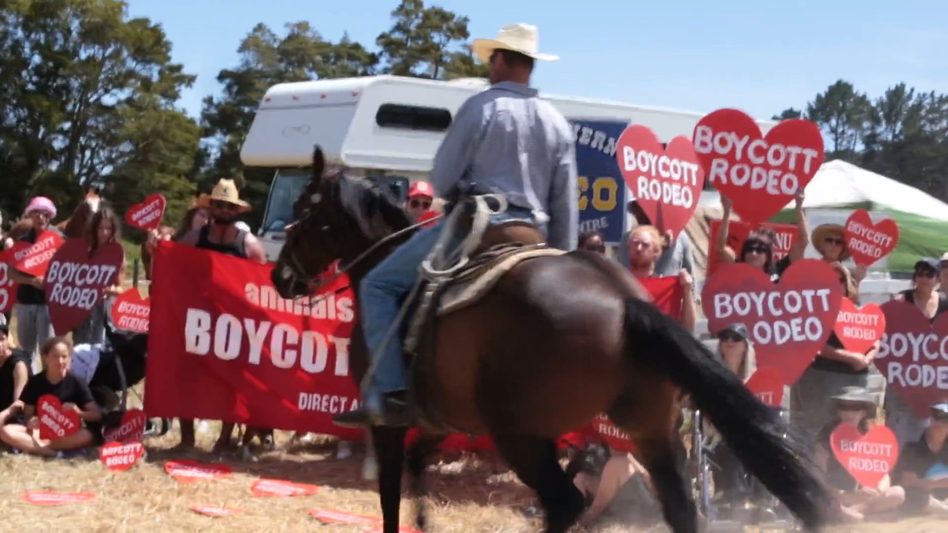 Mid Northern Rodeo 2017: Protesters stand their ground as cowboy attempts to intimidate them