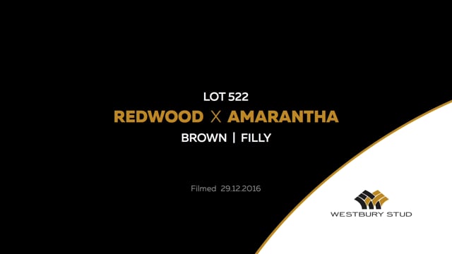 Lot 522