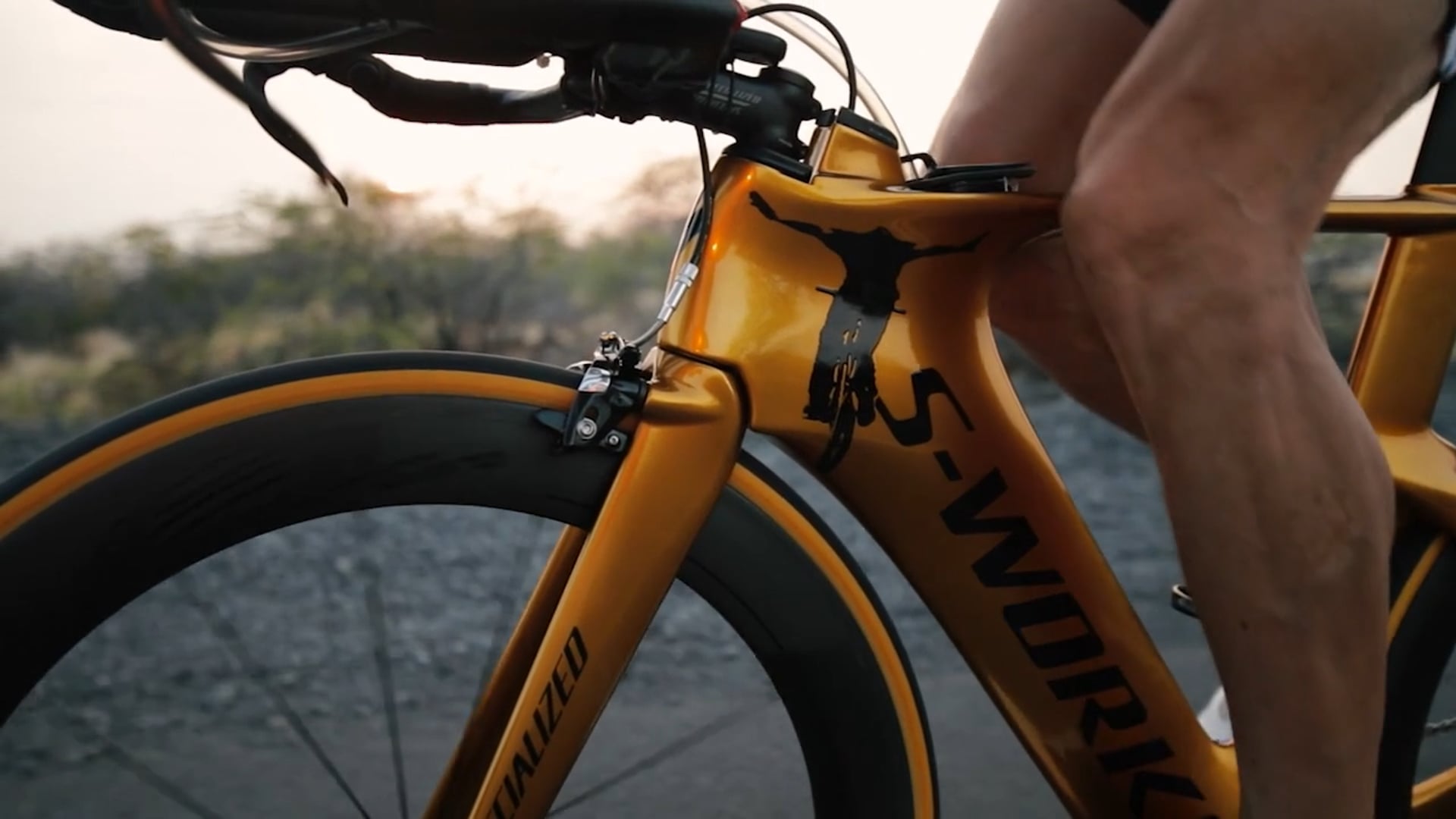 Ironman Ben Bostrom/Dave Mirra Feature