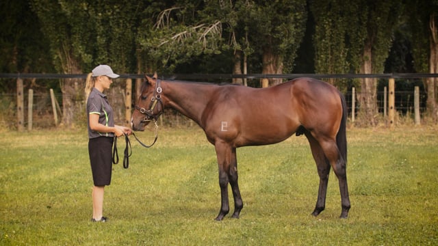 Lot 845