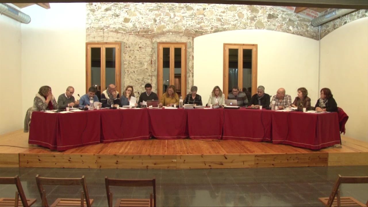 Ple municipal 22 de desembre 2016 - Punt2