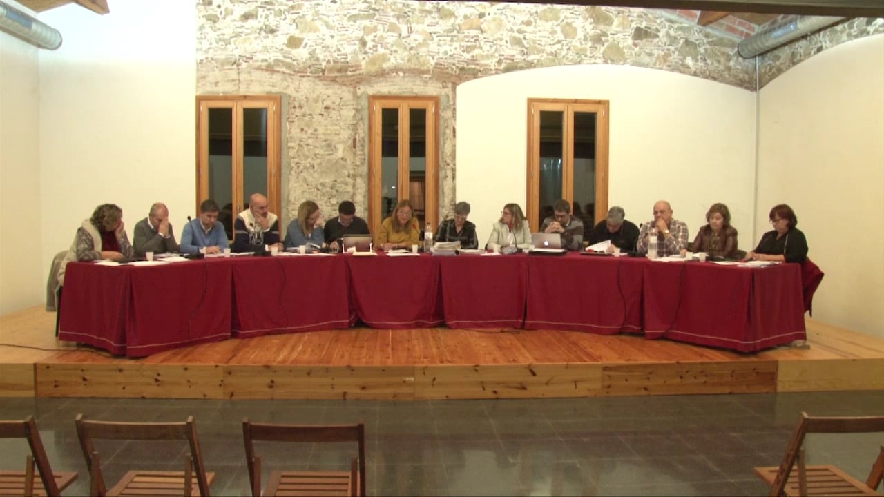 Ple municipal 22 de desembre de 2016 punt4