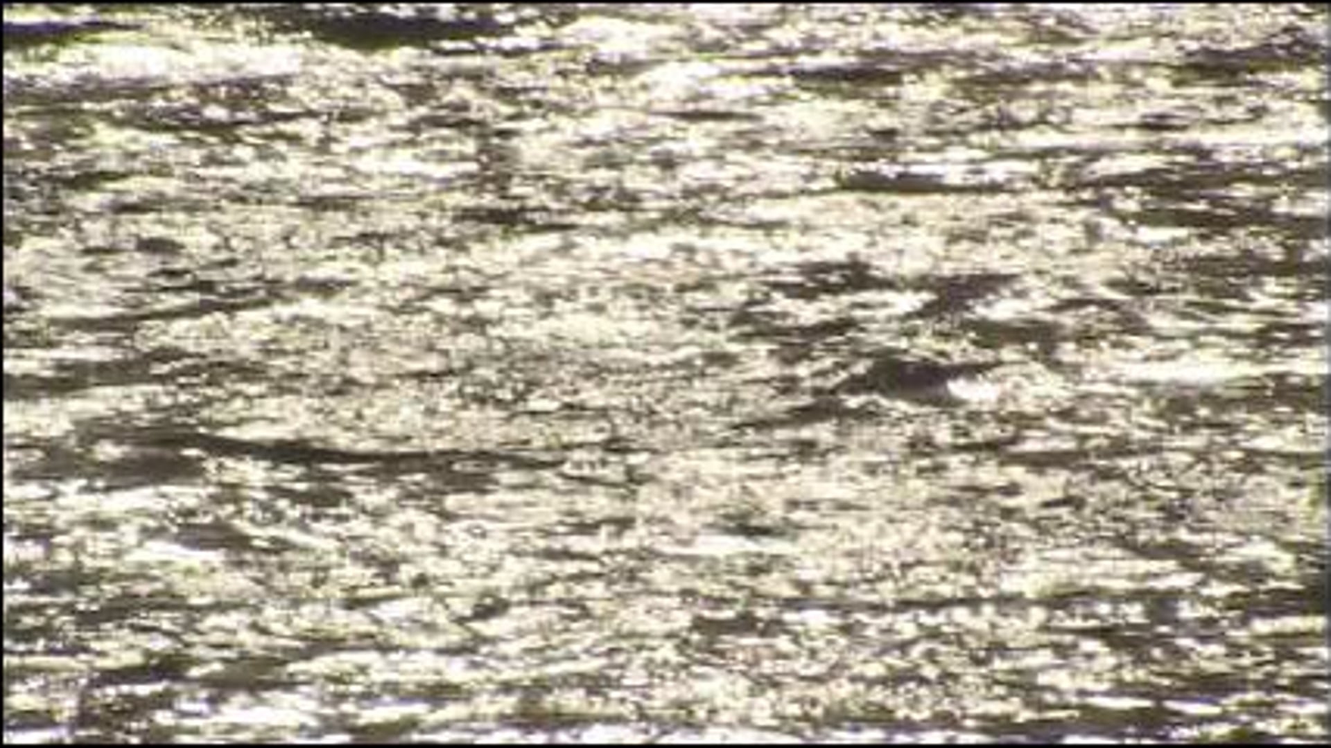 Roni Horn: Water (SHORT) | Art21