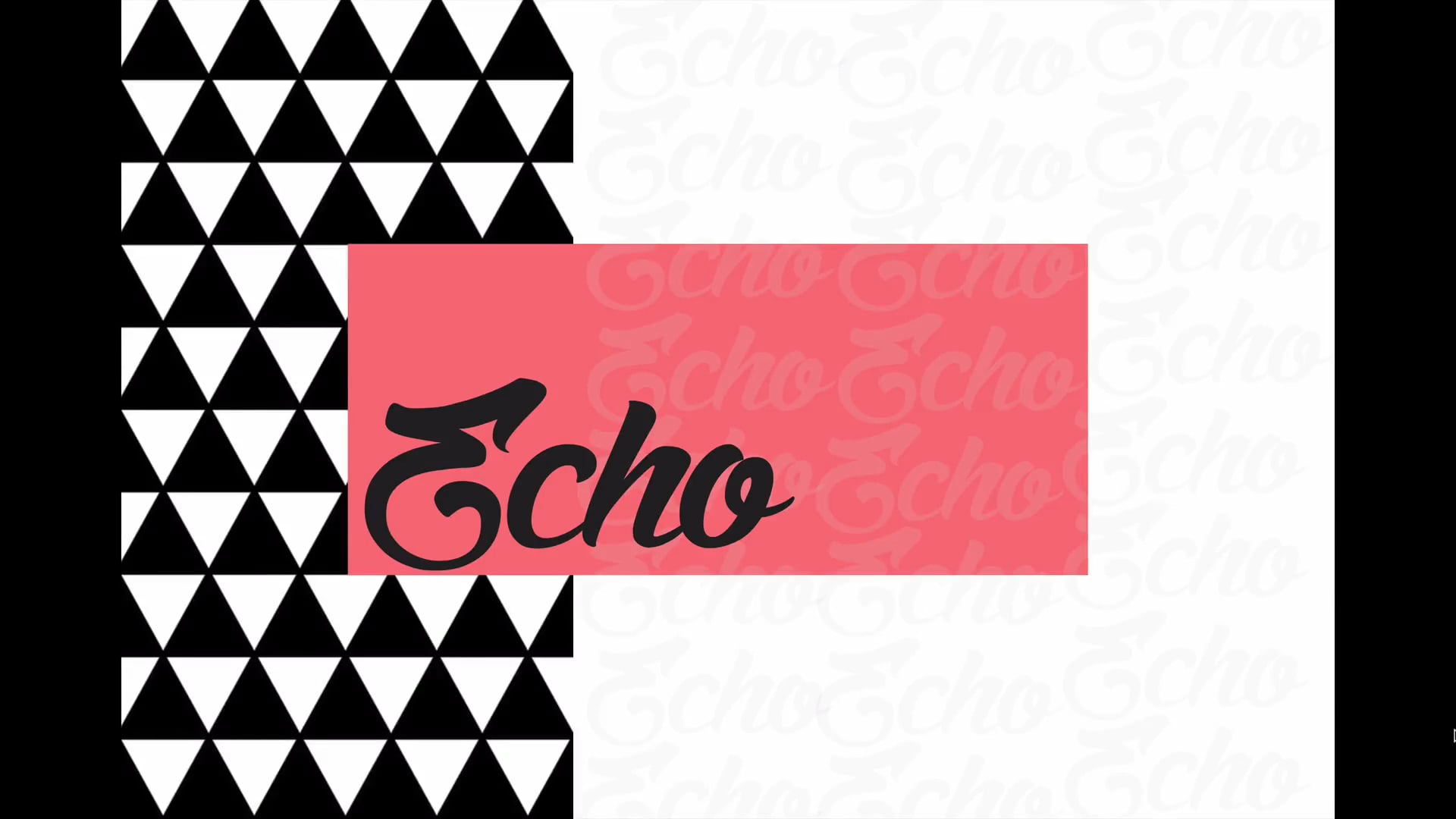 Module 2.5 Echo on Vimeo