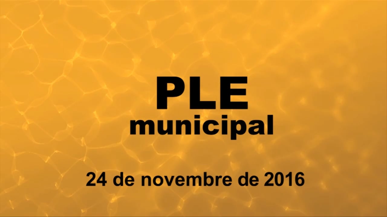 Ple municipal 24 de novembre de 2016 punt 1