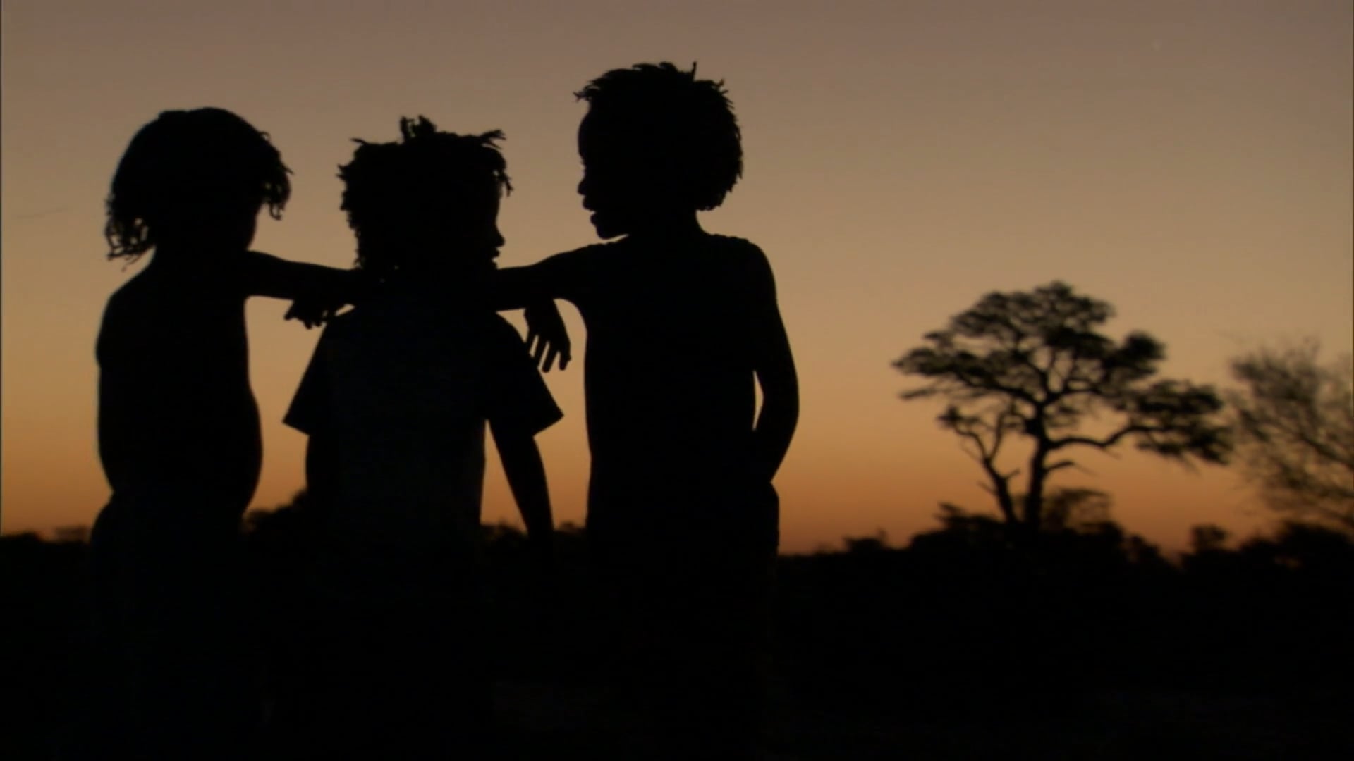 DOP Showreel