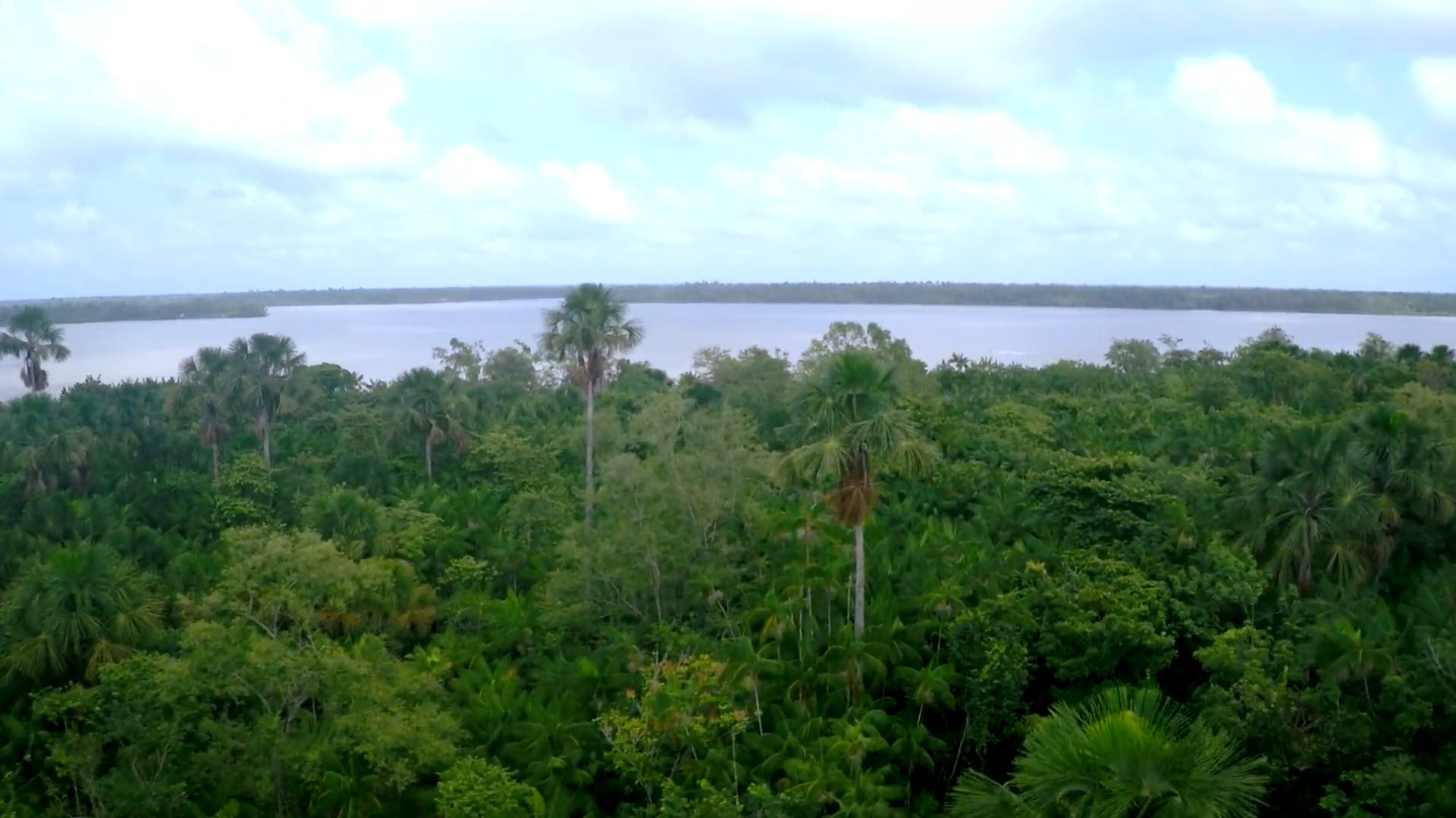 Natura Ekos | Açaí