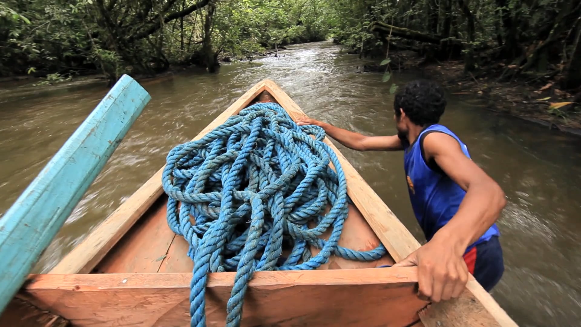 Natura Brasil | Business Model