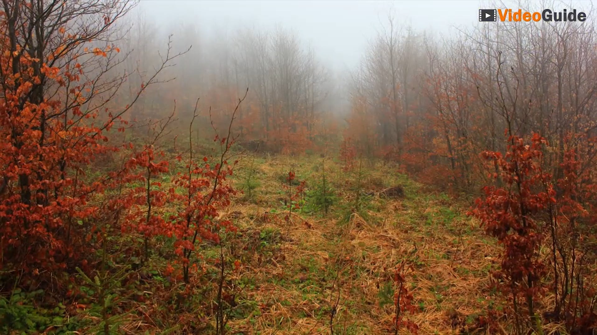Despre Parcul Natural PUTNA Vrancea VideoGuide