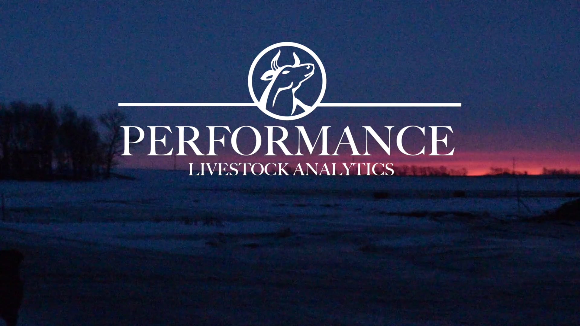 Performance Beef on Vimeo