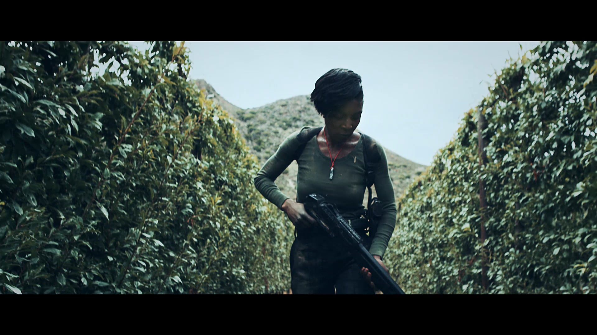 Rise of the Phoenix - Trailer