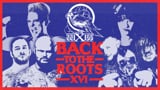 wXw Back to the Roots XVI