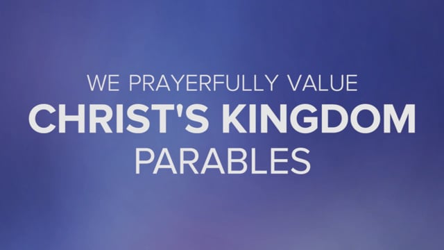 video image