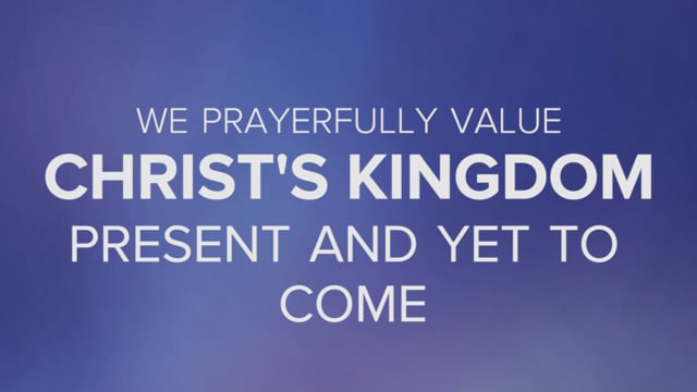 video image