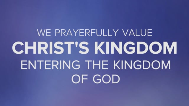 video image