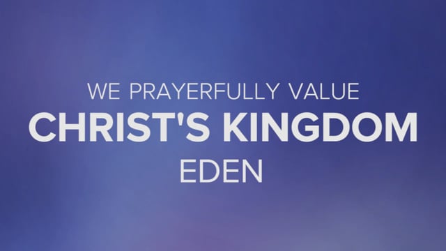 video image