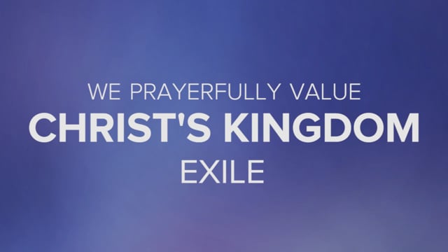 video image
