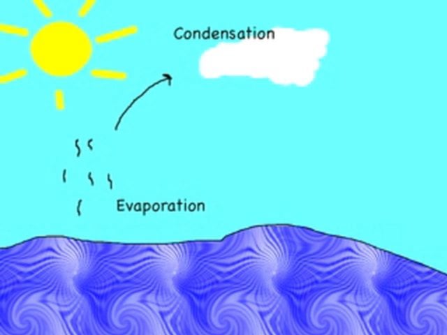 Water Cycle on Vimeo