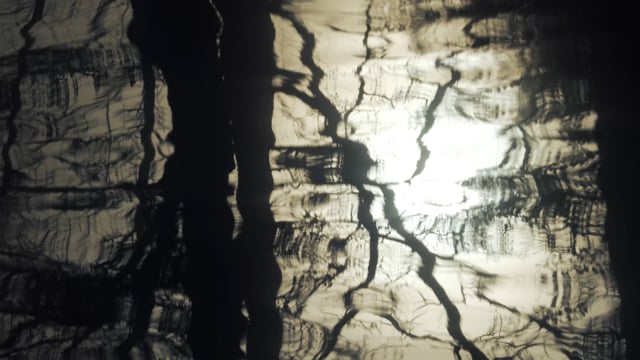 Water Reflection Waves Free Video On Pixabay