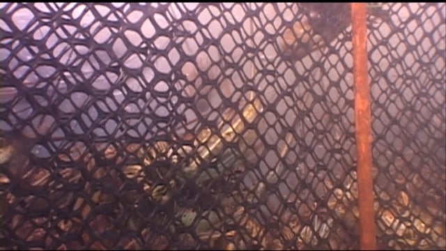 Otra pelea cubana contra los demonios… y el mar (documental)