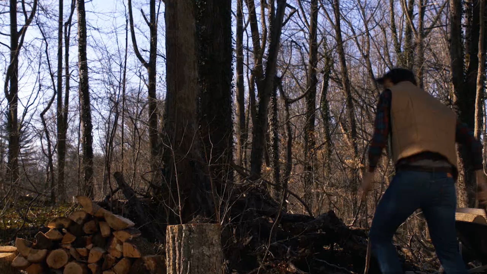 DSTV VAS Holiday Theme