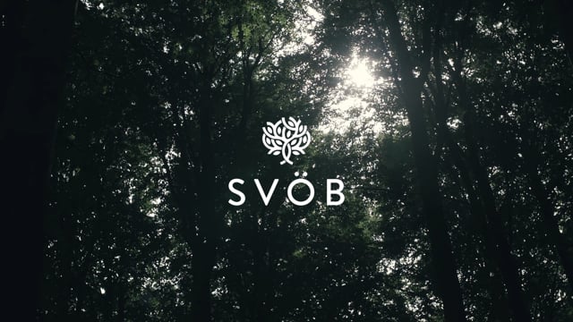 SVöB film