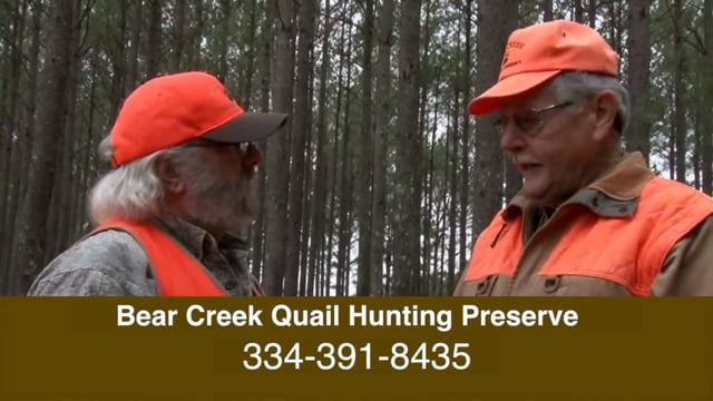 Show 138 Quail Hunting Bear Creek
