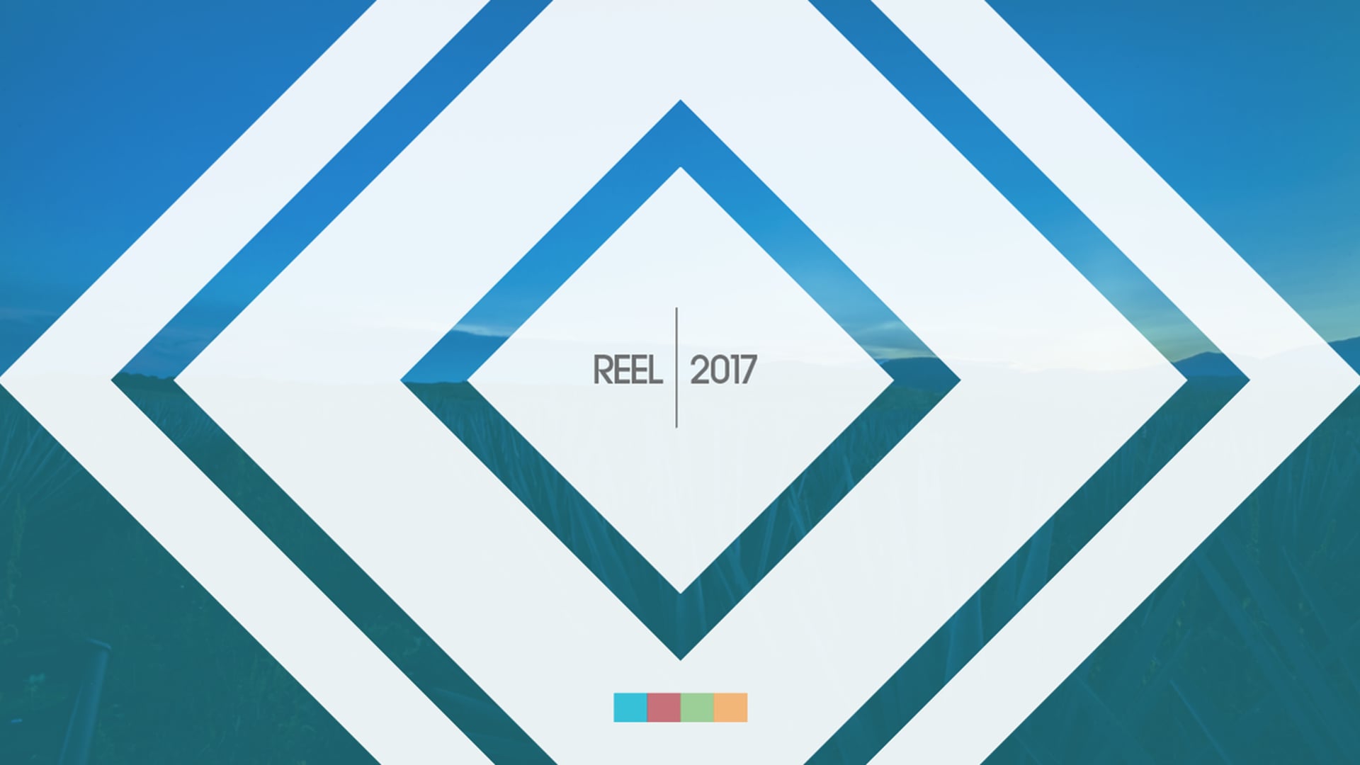 REEL 2017