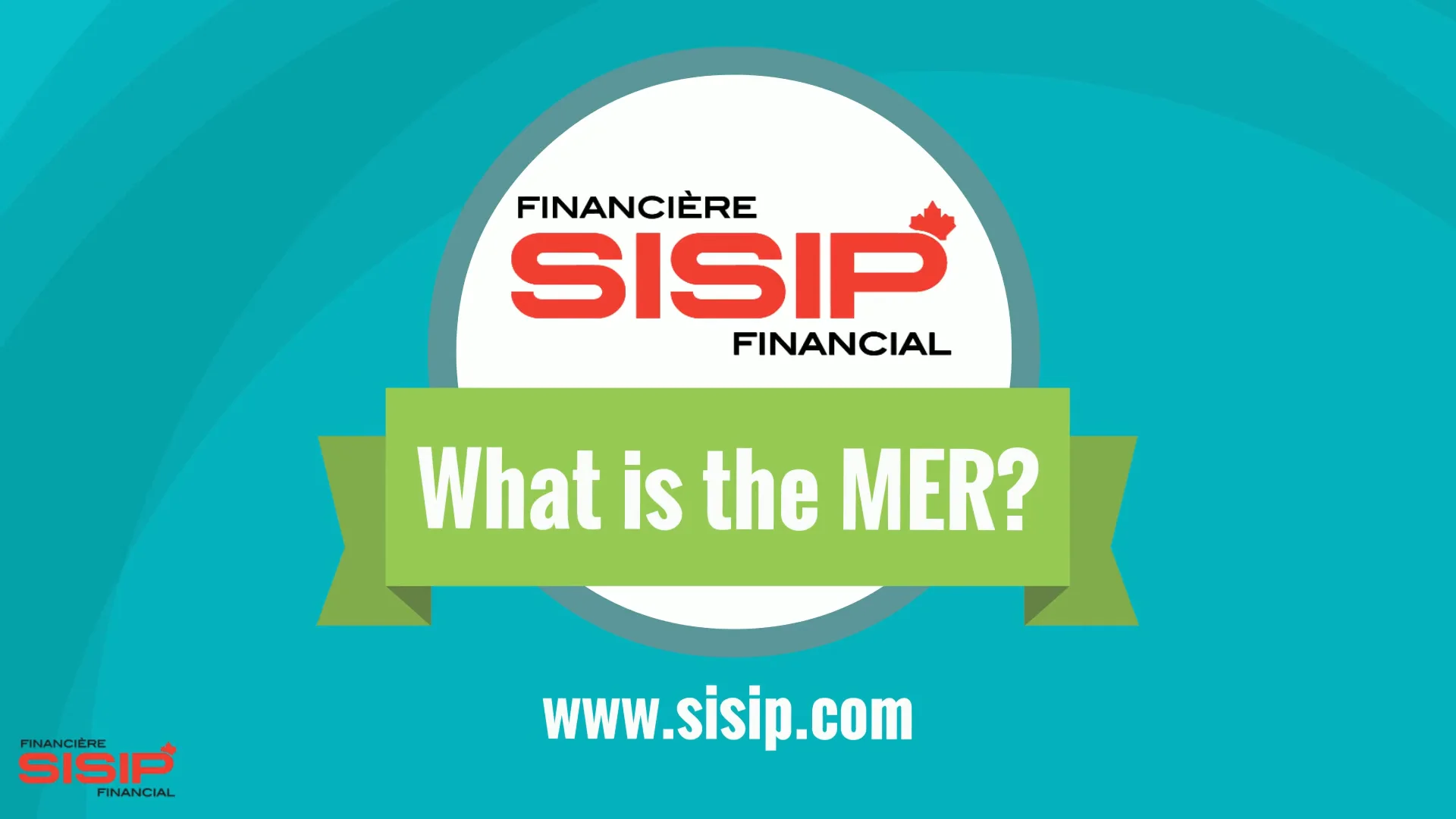 MER Explanation - English