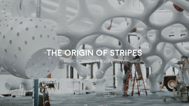 THEVERYMANY: The Origin of Stripes