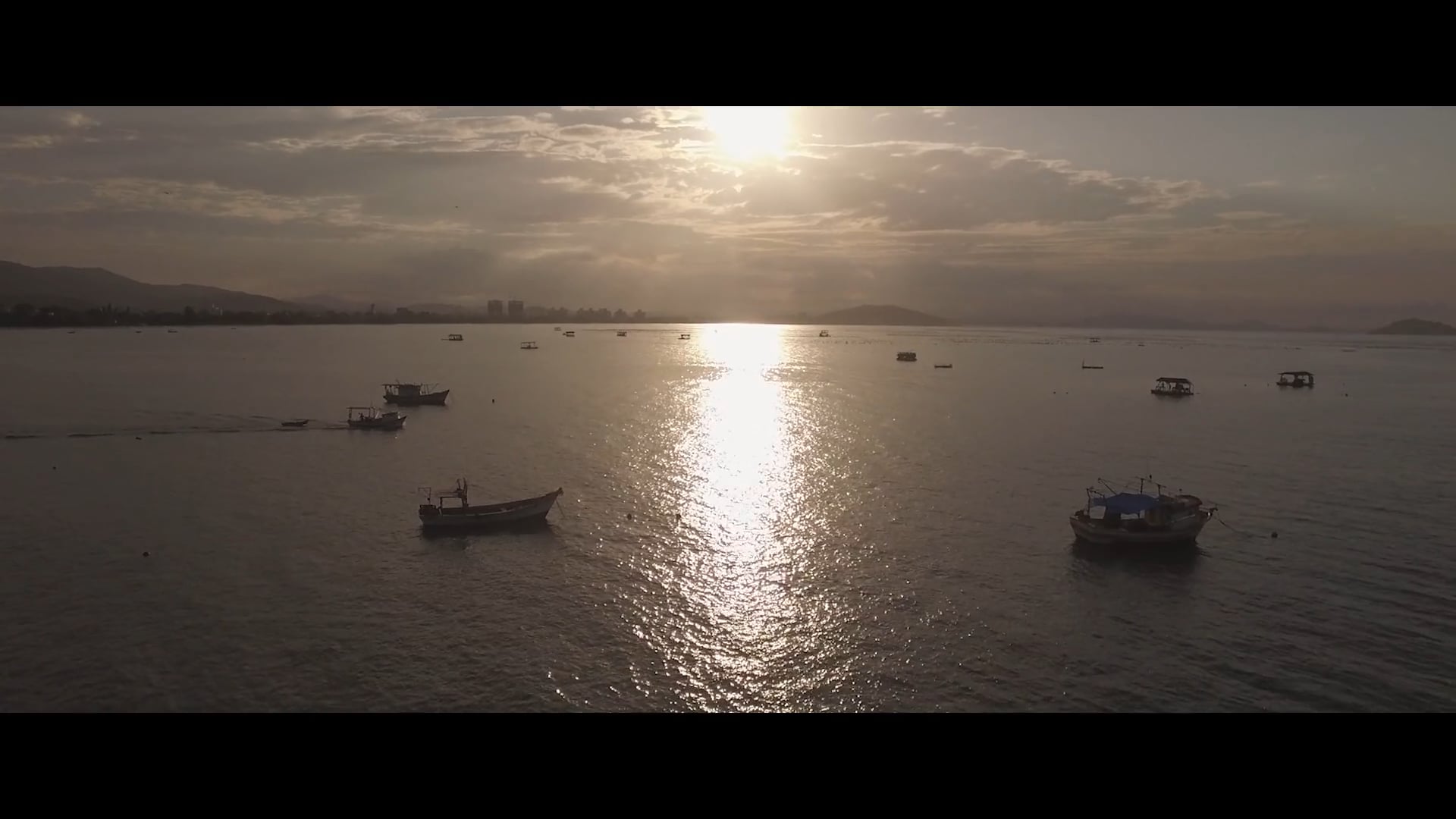 Teaser ONG OCEANA 2