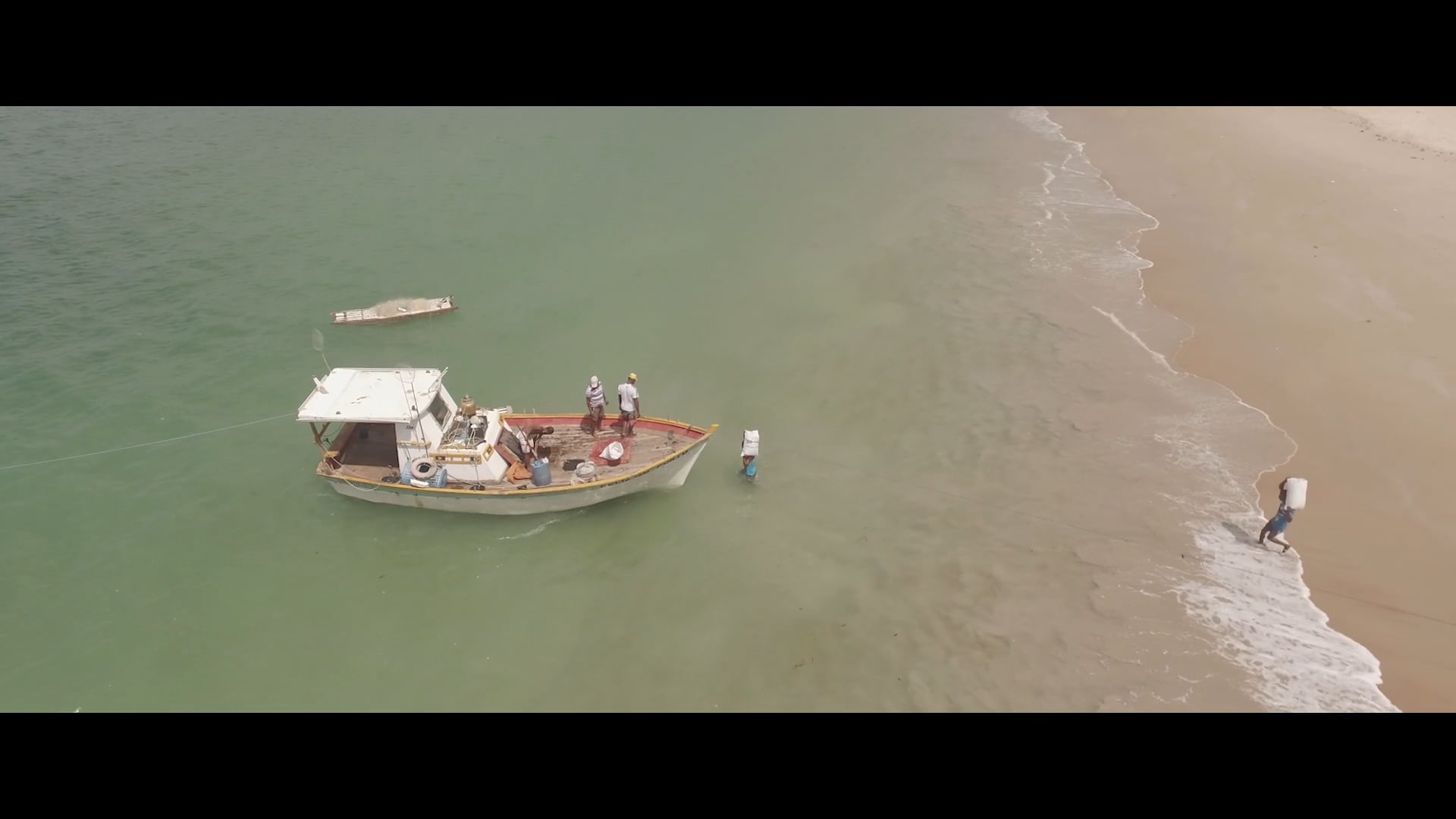 Teaser 3 - ONG OCEANA