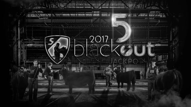 Blackout 5 Trailer