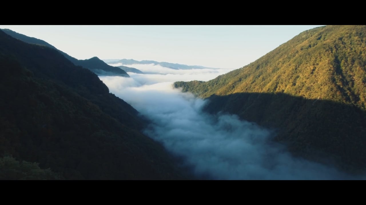 MUSIC HOLIDAY Slovenia