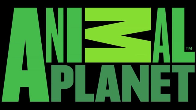 Animal Rescue - Animal Planet