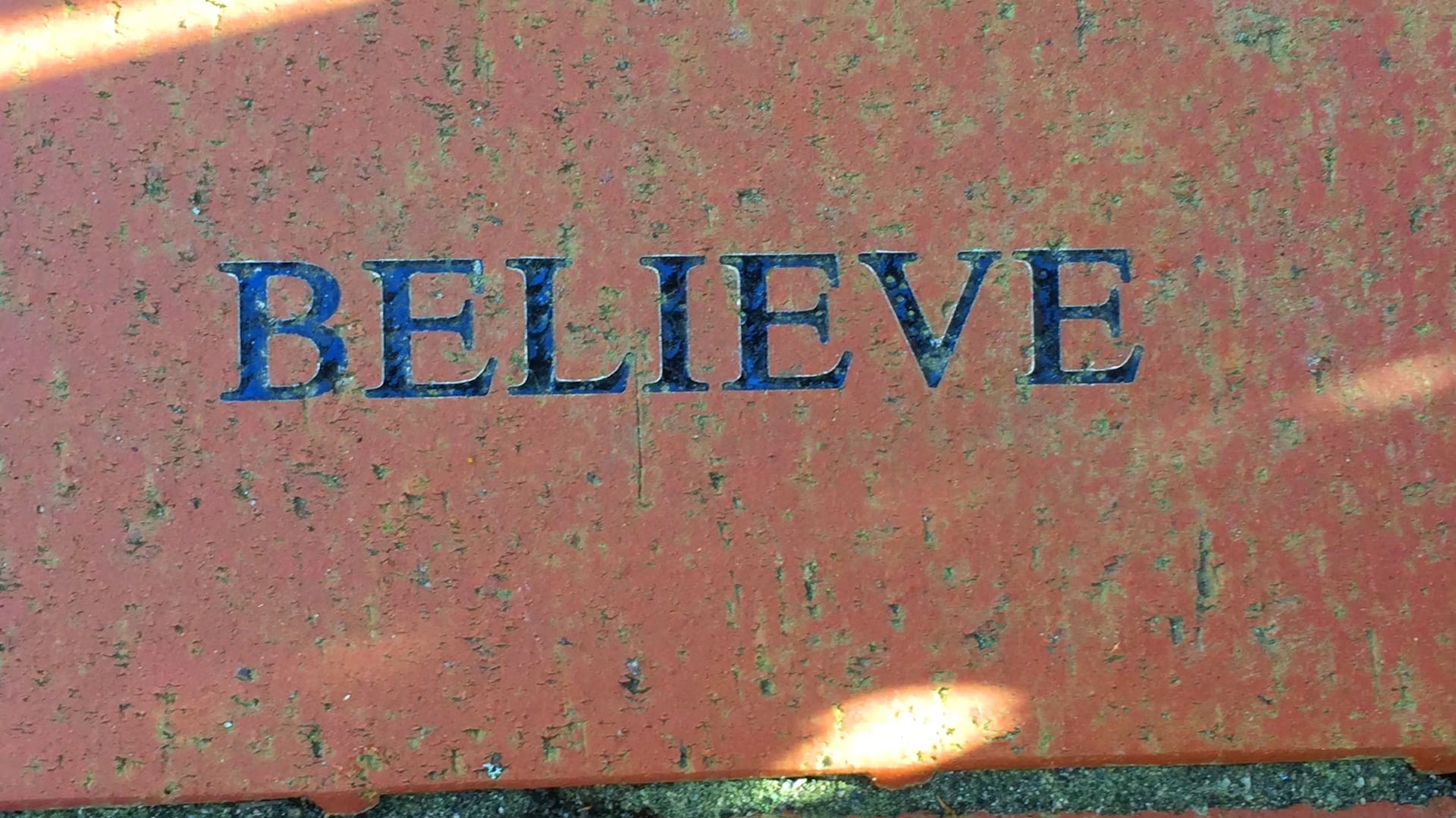WE CAN: About Us