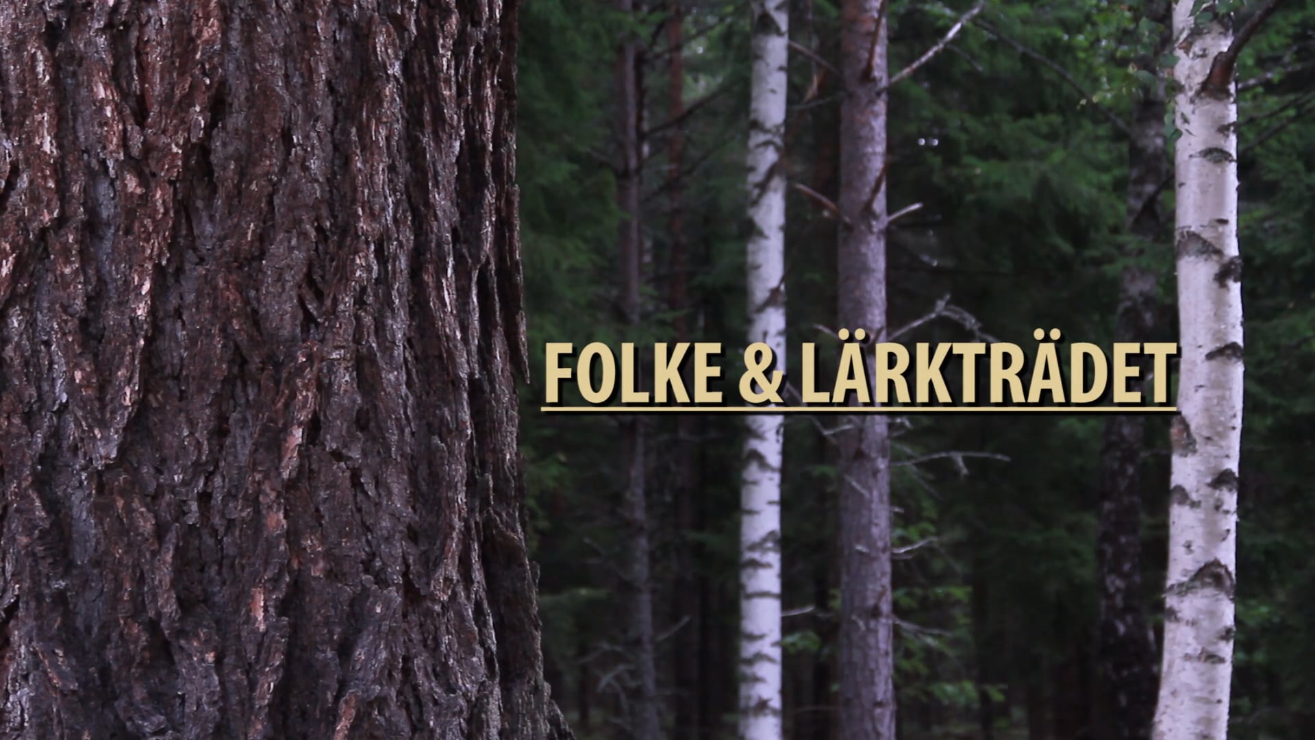 Folke & Lärkträdet