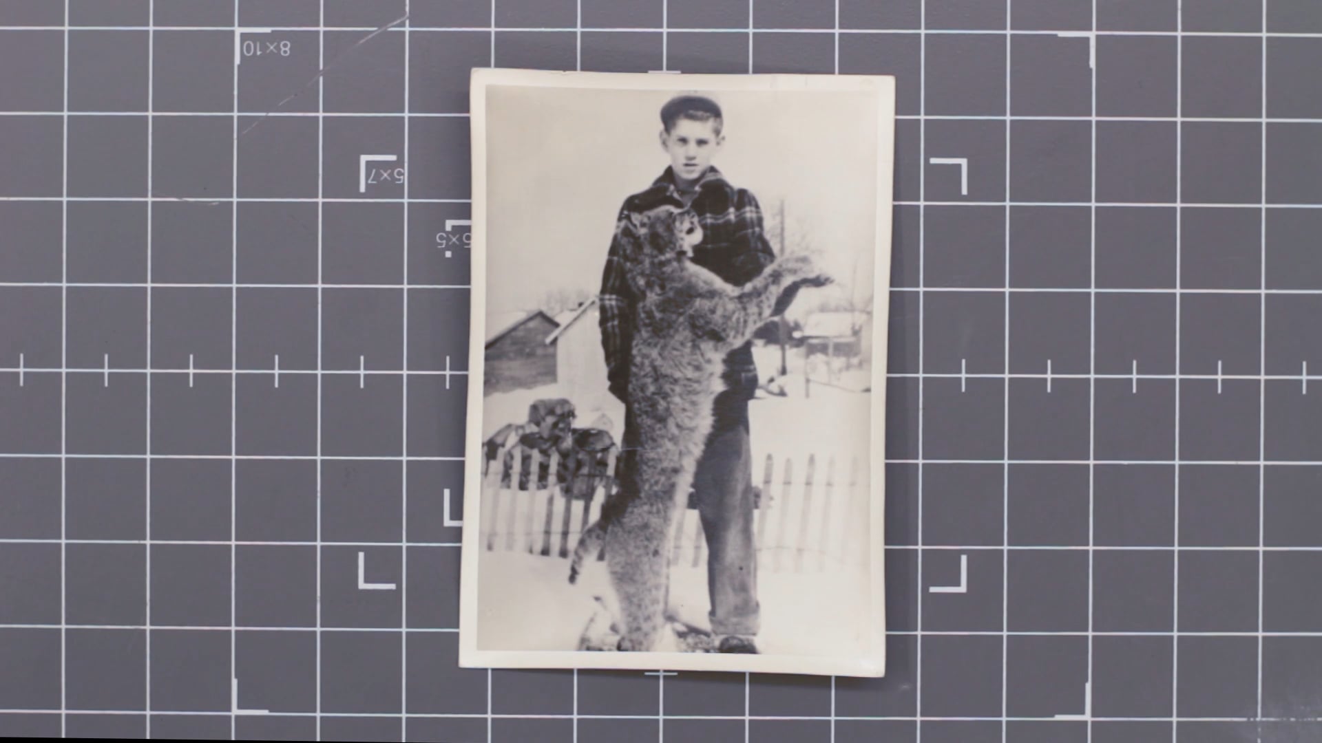 This Is a Portrait of Me as a Child (2017)