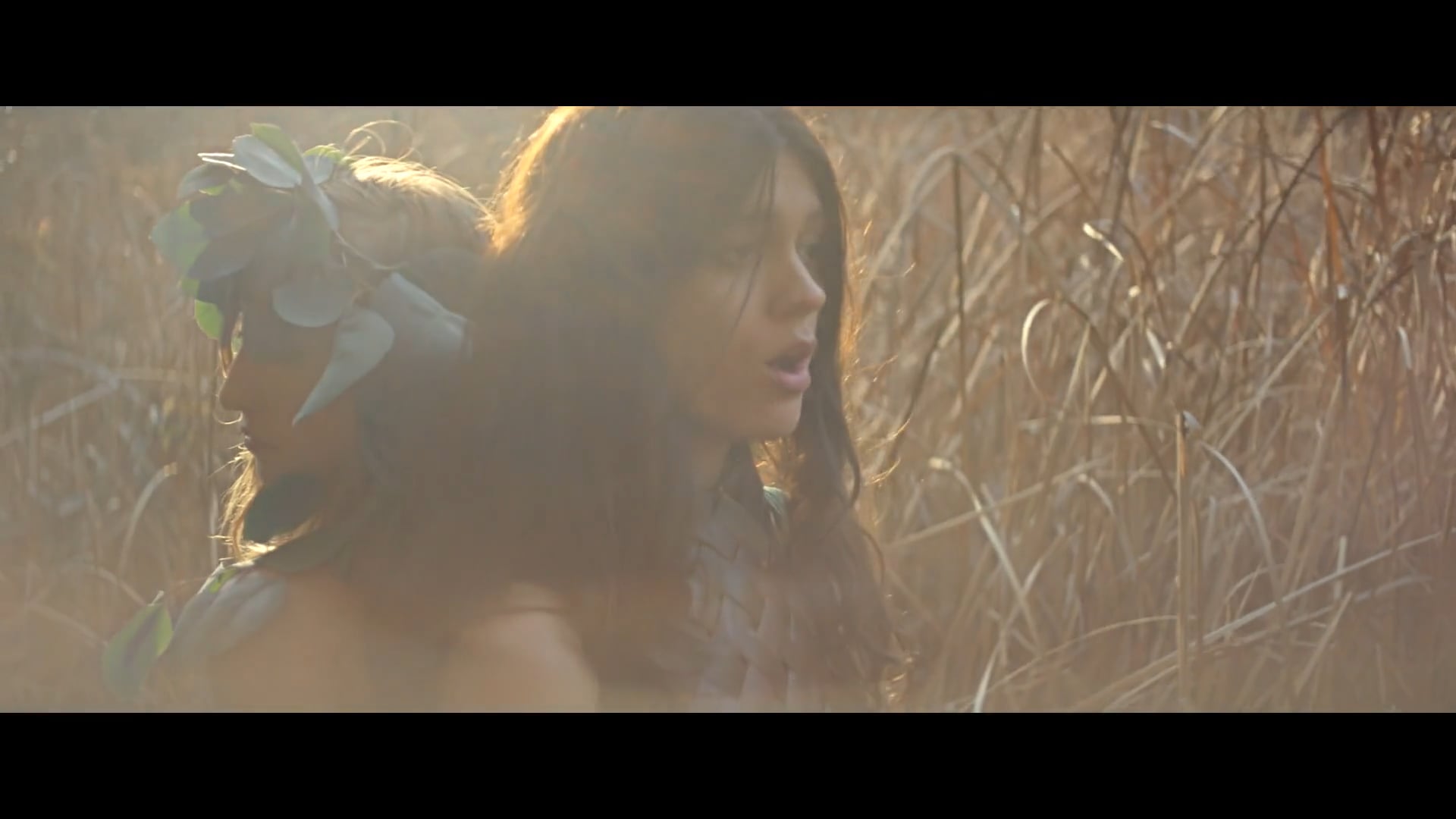 Beau -- Animal Kingdom-HD