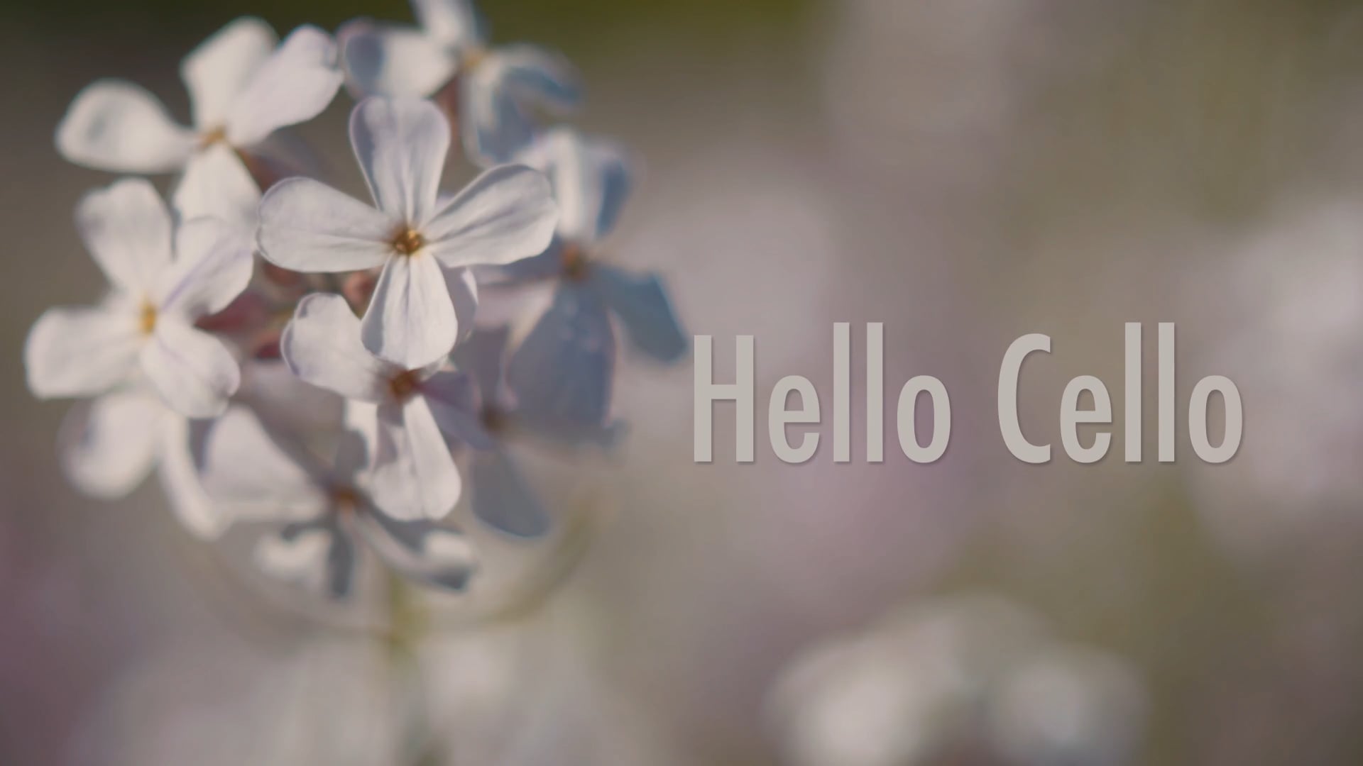 Promotional video thumbnail 6 for Kendra’s Cello