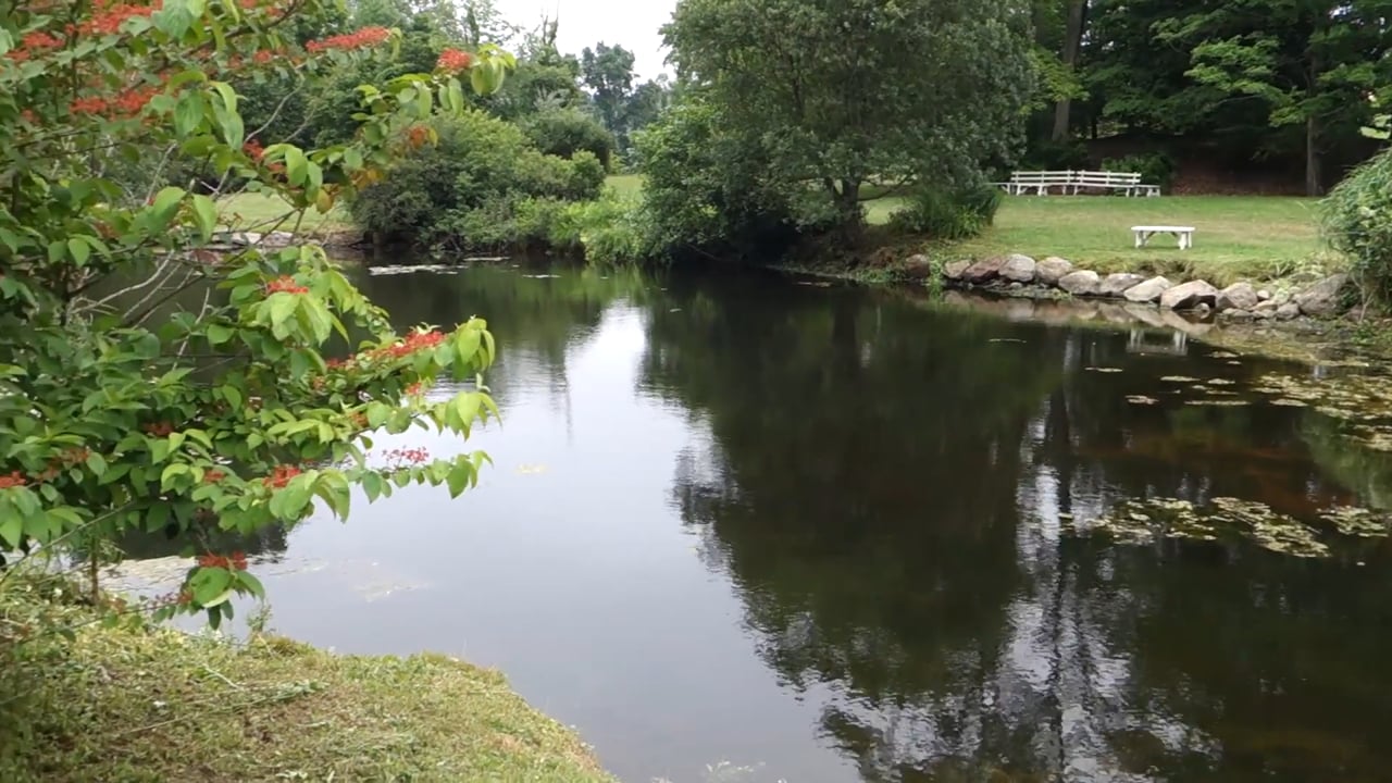 Miles Martin Eagle Scout Project: Wetland Habitats at New Pond Farm